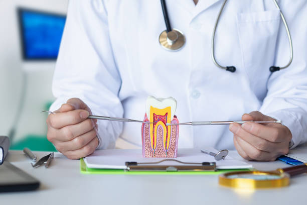 Best Urgent Care for Lost Fillings or Crowns in Dunkirk, MD